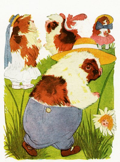 خنازير غينيا المرح ، 1913 بواسطة مارتن روس